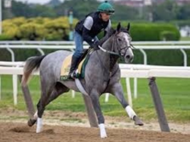 Remembering Prince Khalid, Founder Of Juddmonte Farms And ... Image 1