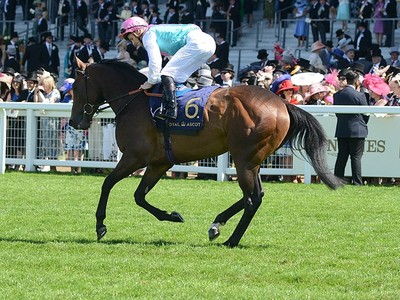 Equilateral Triumphs in UK Debut Image 1