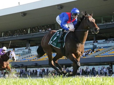 Randwick’s Barrier Trial Session: A Showcase Of Everest ... Image 1