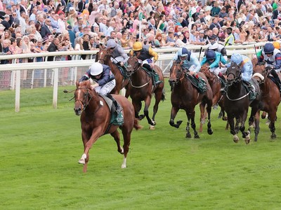 Unstoopable Dragon Leader Conquers York With Style Image 1