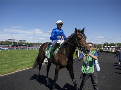 Godolphin's Surprise Ace: Tom Kitten Image 1