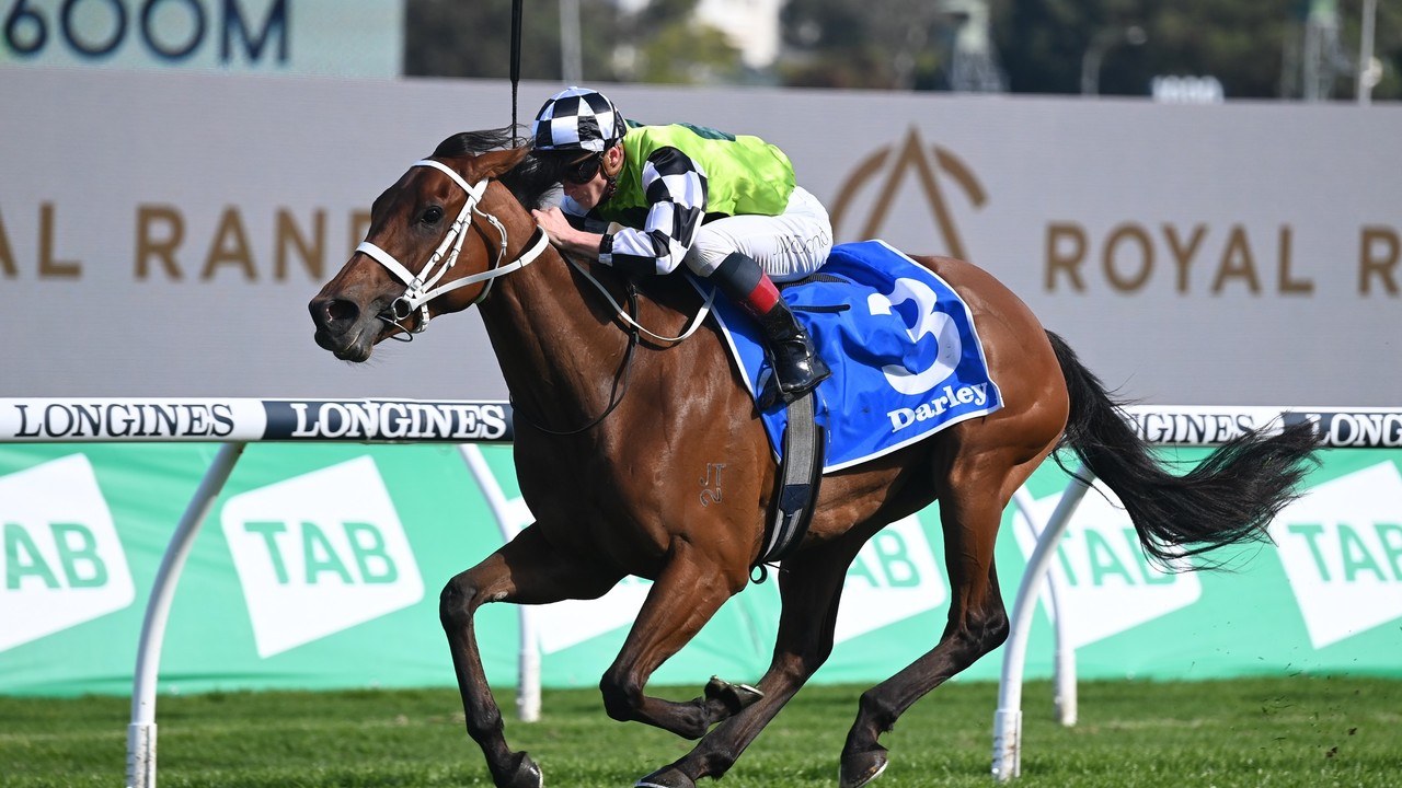 Princess Grace: A Strong Contender for Memsie Stakes Image 1