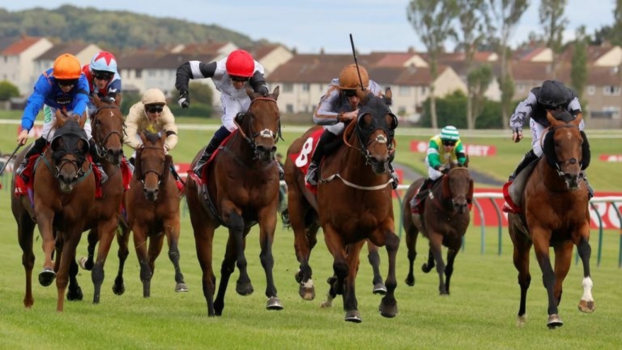 Unforgettable Photo Finish: Summerghand &amp; Albasheer Share ... Image 1