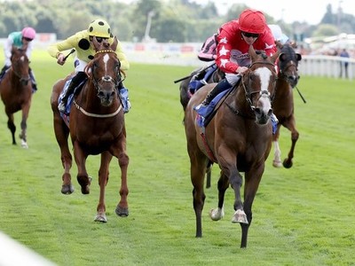 Stensall Stakes Star Sets Sights On Bahrain Image 1