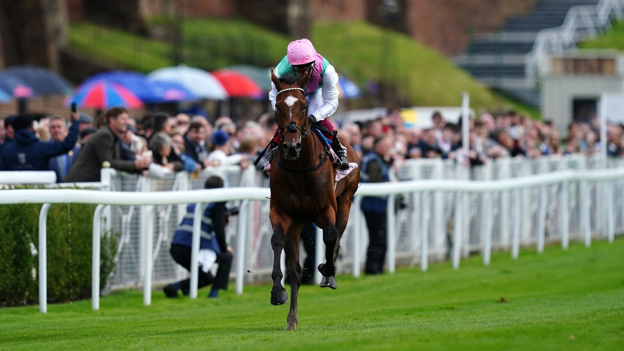 Frankel Colt Arrest Flexes His Muscles At Newbury, Eyes At ... Image 1