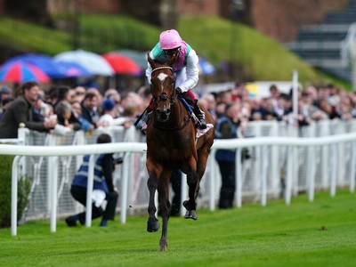 Frankel Colt Arrest Flexes His Muscles At Newbury, Eyes At ... Image 1