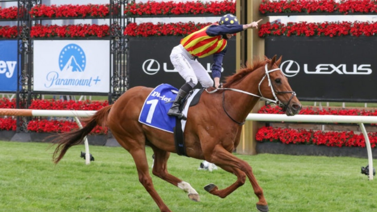 Nine Vying For Victory In The Concorde Stakes Image 1