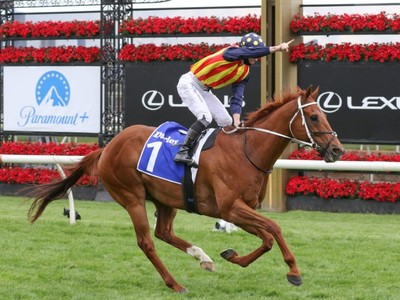 Nine Vying For Victory In The Concorde Stakes Image 1