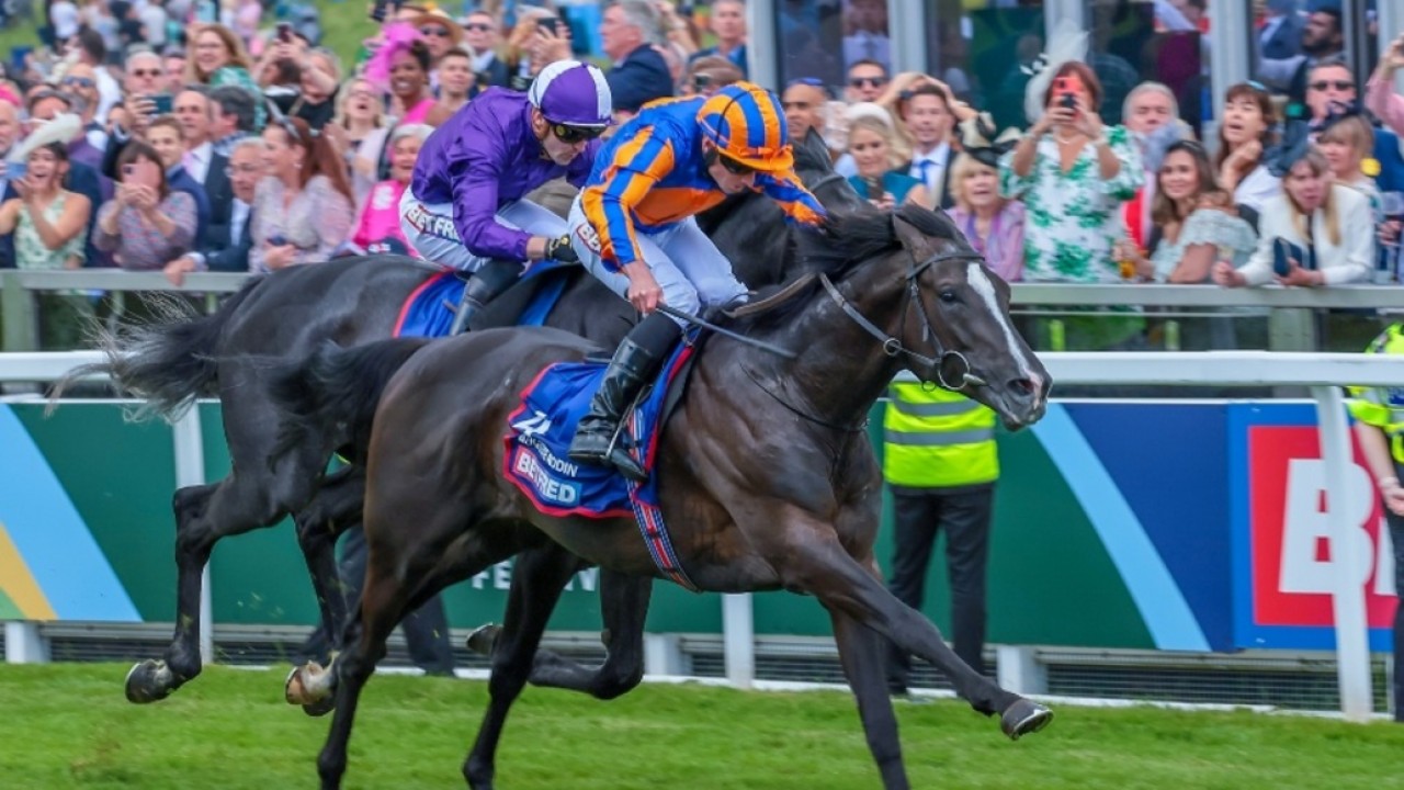 Irish Champion: Aidan O ‘Brien Set To Showcase Dual Talents ... Image 1