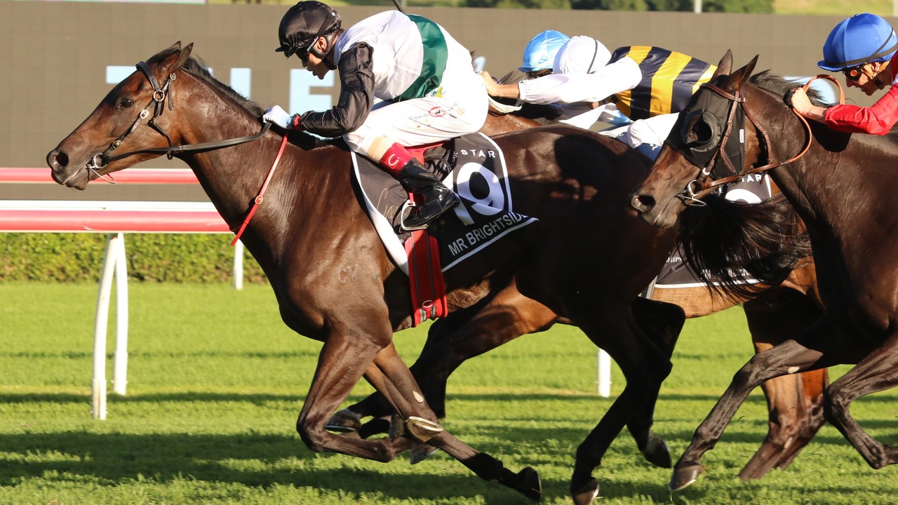 Mr Brightside: Fierce &amp; Fearless For Memsie Stakes Showdown Image 1