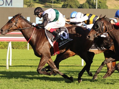 Mr Brightside: Fierce &amp; Fearless For Memsie Stakes Showdown Image 1