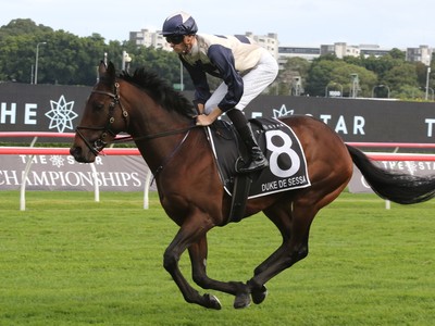 Caulfield Calling: Maher-Eustace Duo Set To Shine In Memsie ... Image 1