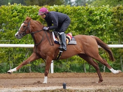 Rising Star: Sheikha Hissa's Thoroughbred Filly, ... Image 1