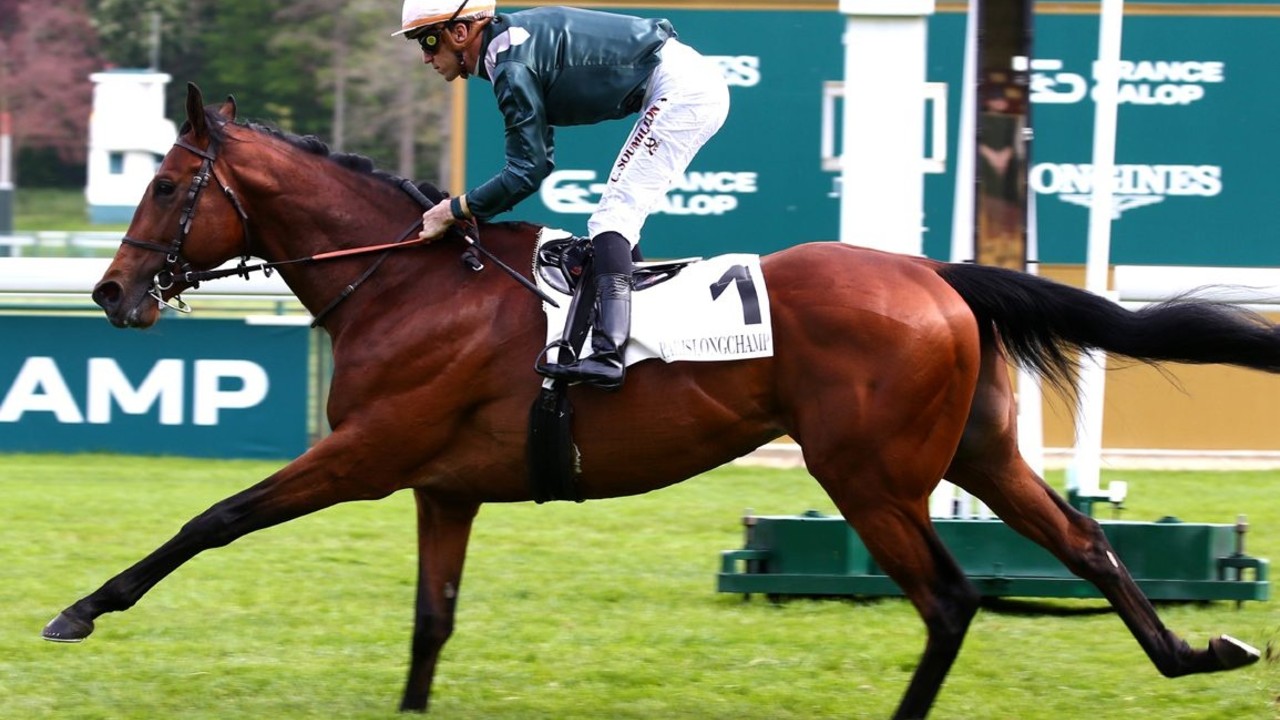 Discover The Arc Hope Feed The Flames Set For Prix Niel Image 1