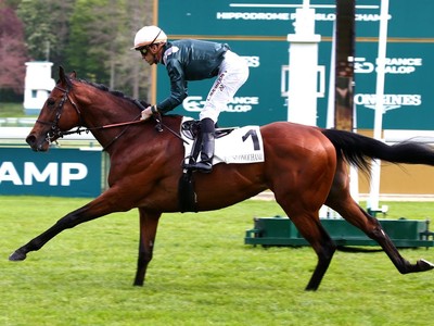 Discover The Arc Hope Feed The Flames Set For Prix Niel Image 1