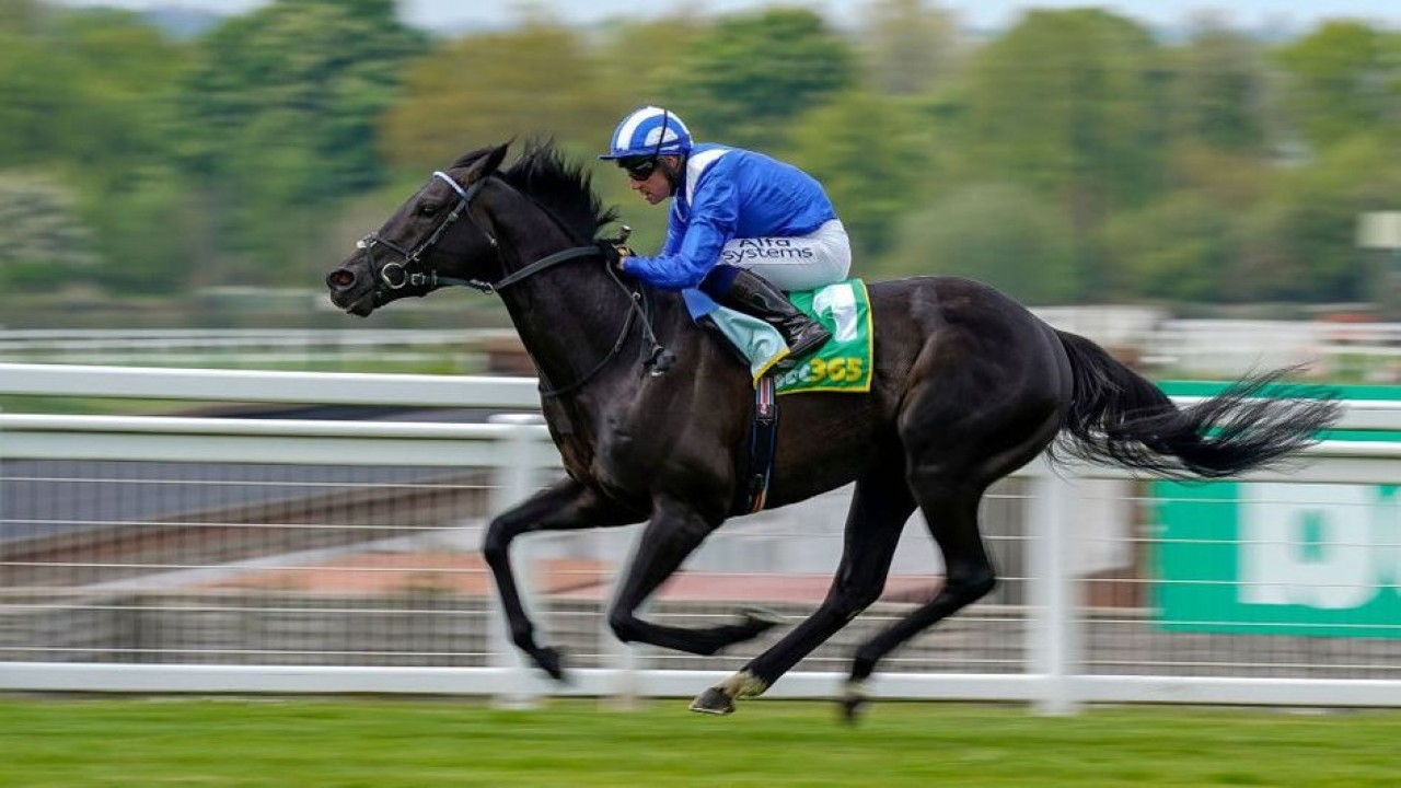 Sheikha Hissa-Owned Mostahdaf In Cartier horse Of The Year ... Image 1