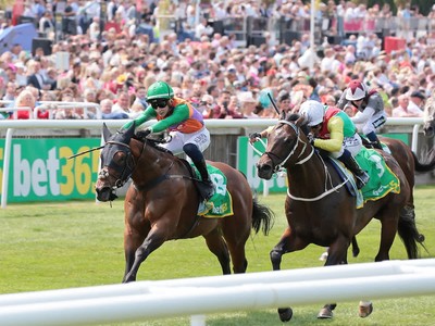 Witness Thrilling Action: Mill Stream Ready To Dominate On ... Image 1