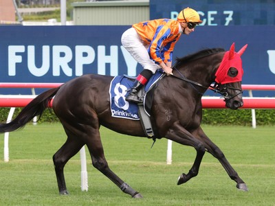 A Match Made In The Stakes: Michael Dee &amp; Star NZ Raider ... Image 1