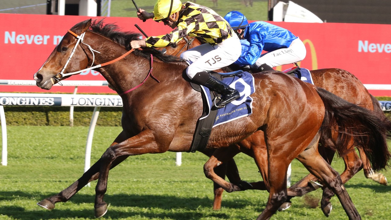 Remarque Triumphs In The Concorde As Nature Strip Bows Out Image 1