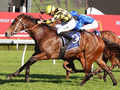 Remarque Triumphs In The Concorde As Nature Strip Bows Out Image 1