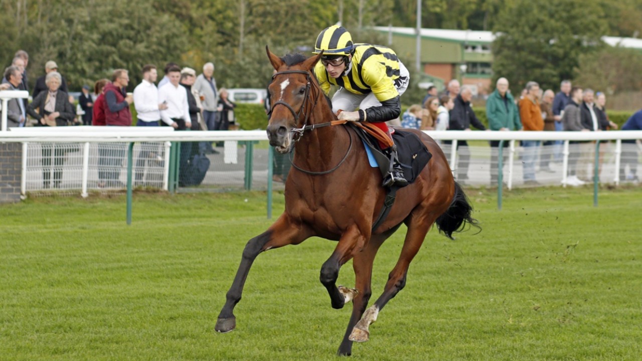 Roger Varian &amp; Eldar Eldarov: Exploring Racing Opportunities Image 1