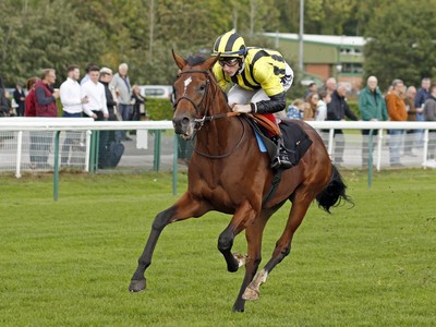 Roger Varian &amp; Eldar Eldarov: Exploring Racing Opportunities Image 1