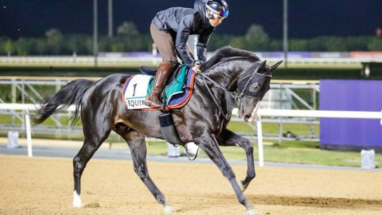 Sheema Classic Triump: Zagrey Baden - Baden’s Feathers Keep ... Image 1