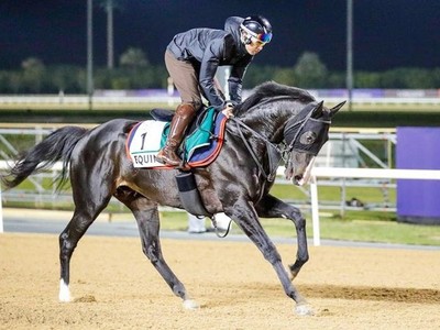 Sheema Classic Triump: Zagrey Baden - Baden’s Feathers Keep ... Image 1