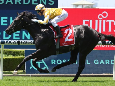 Red Resistance Gears Up For Listed Heritage Stakes On ... Image 1