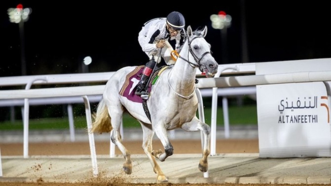 Prince Khalid Bin Sultan's Stable Dominates Taif Racing ... Image 1