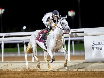 Prince Khalid Bin Sultan's Stable Dominates Taif Racing ... Image 1