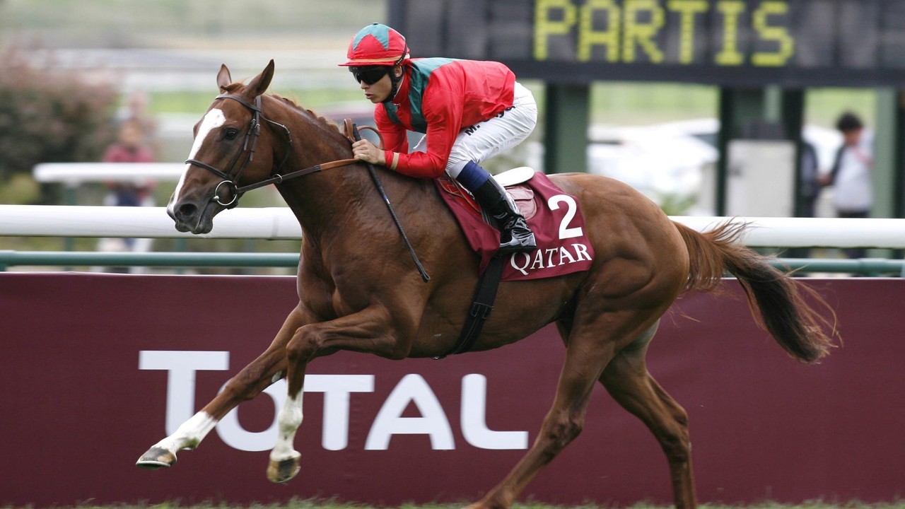 All Eyes On Iberian: The Horse To Watch At Doncaster’s St ... Image 1