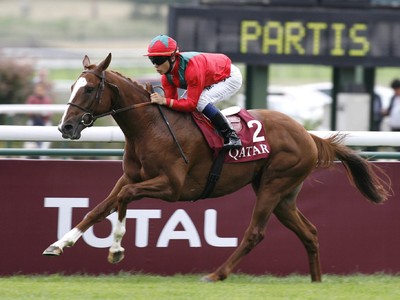 All Eyes On Iberian: The Horse To Watch At Doncaster’s St ... Image 1