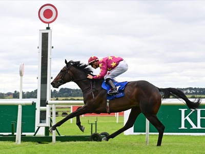 Al Riffa’s Journey: Preparing For The Irish Champion Stakes Image 1