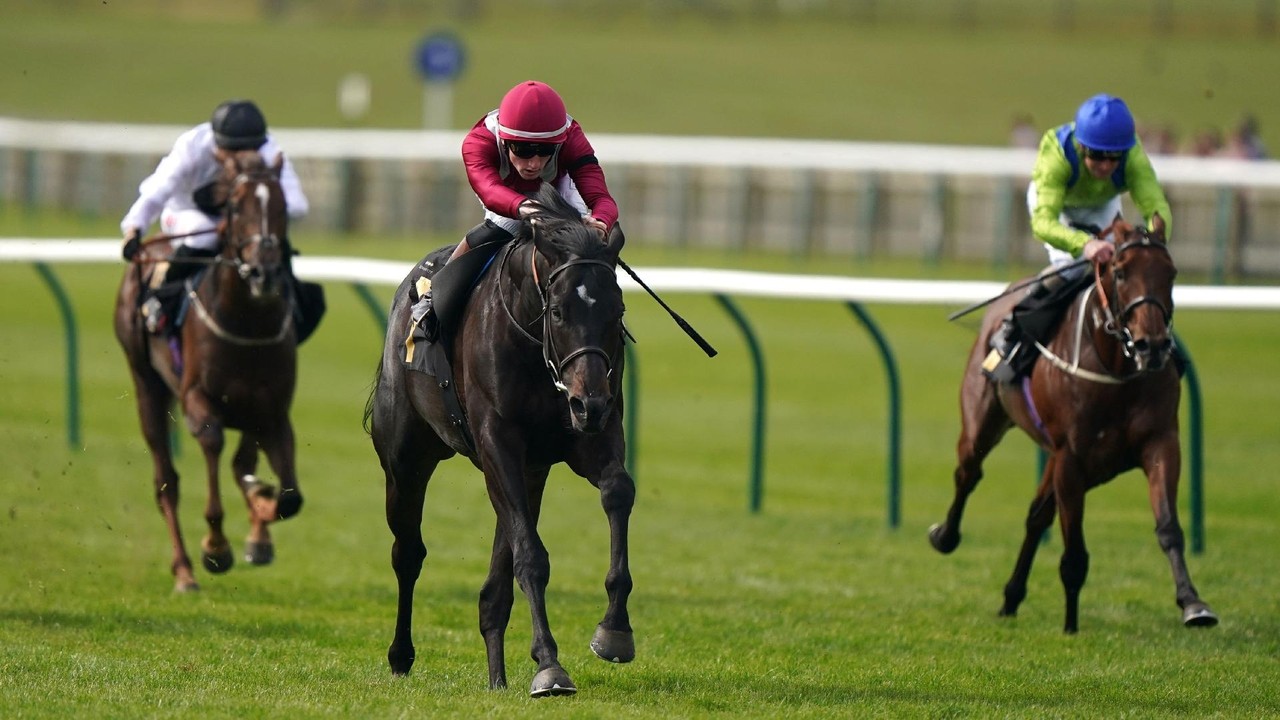 Ascot's QIPCO Champion Stakes: Eydon's Ultimate Goal Image 1