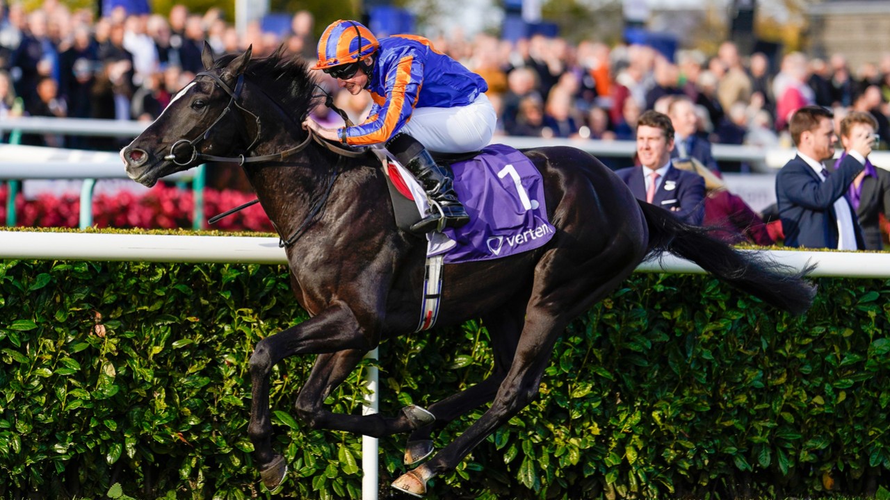 Prestigious Lineup For Saturday's Irish Champion Stakes Image 1