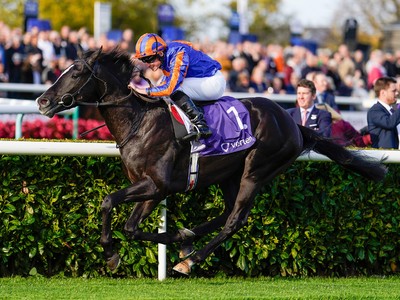 Prestigious Lineup For Saturday's Irish Champion Stakes Image 1