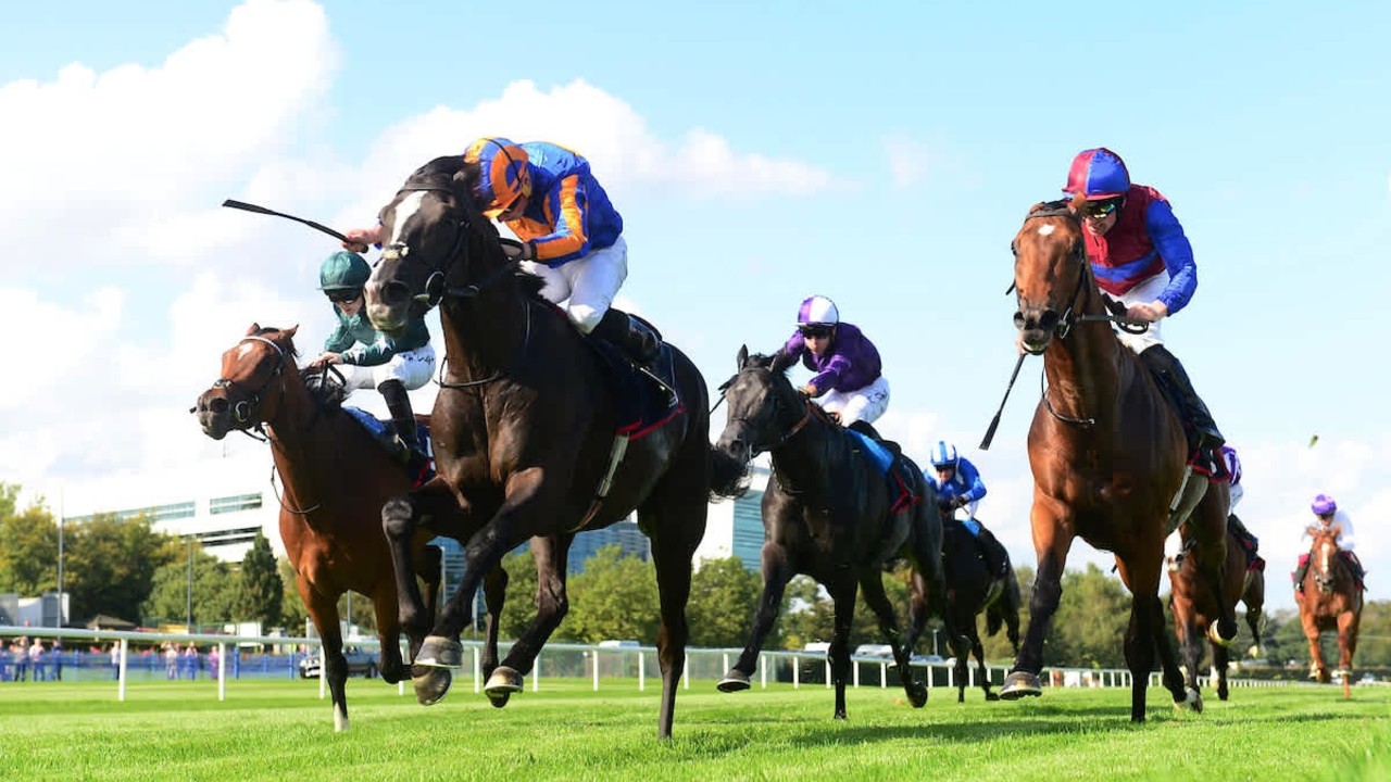 Royal Bahrain Irish Champion Stakes: Auguste Rodin Reclaims ... Image 1