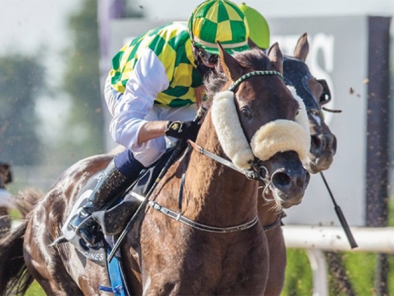 Jawaal Lands Ruler's Cup In Hard Fought Sharjah Feature Race Image 1