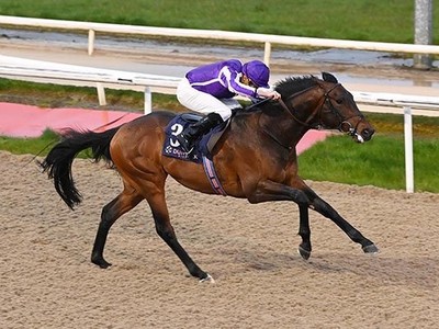 Broadhurst's Four Wins Set A New Standard At Leopardstown Image 1