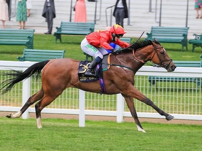 Reaffirming Dominance: Highfield Princess Returns To The ... Image 1