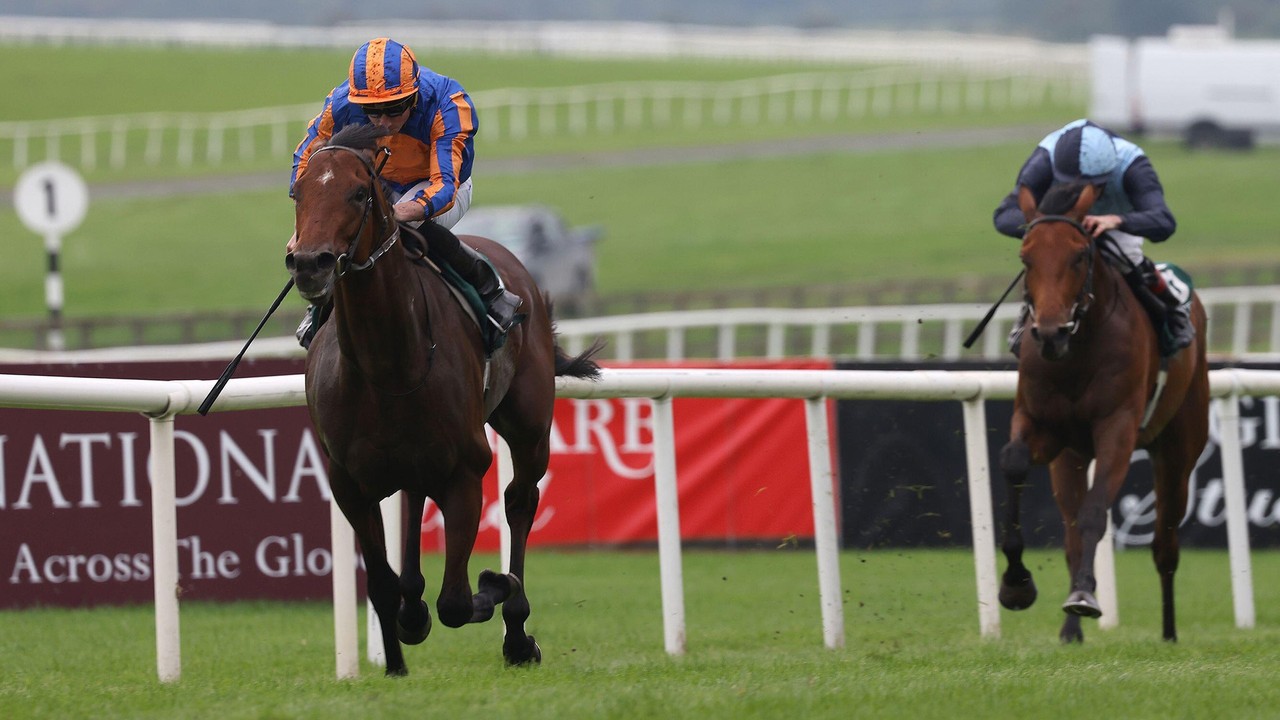 Henry Longfellow’s Victory At The Goffs Vincent O’Brien ... Image 1