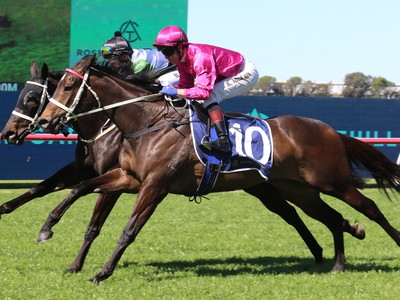 A Race To Remember: The Inaugural Running Of The 7 Stakes ... Image 1