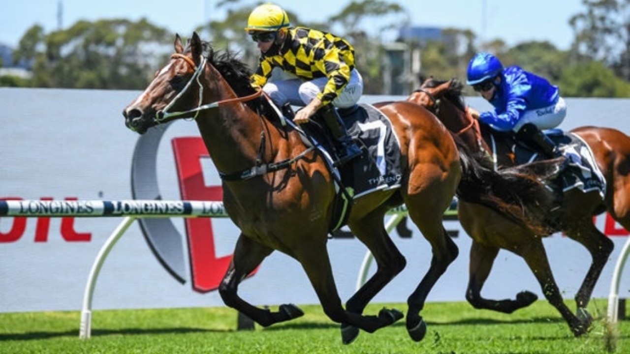 12 Horses, 2 Races: What To Expect At Randwick’s Saturday ... Image 1