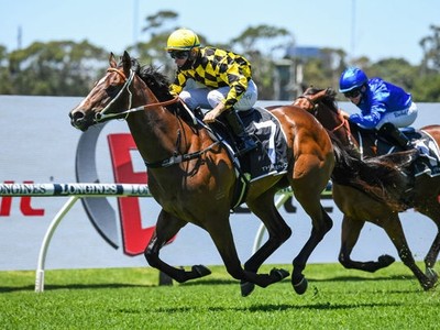 12 Horses, 2 Races: What To Expect At Randwick’s Saturday ... Image 1