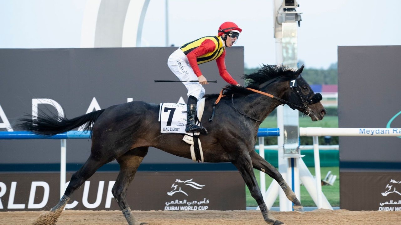 Racing Royalty: Shintani’s Duo Regins Supreme At Korea Cup ... Image 1