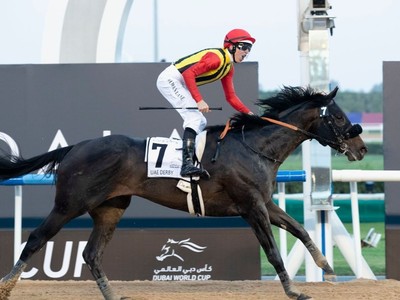 Racing Royalty: Shintani’s Duo Regins Supreme At Korea Cup ... Image 1