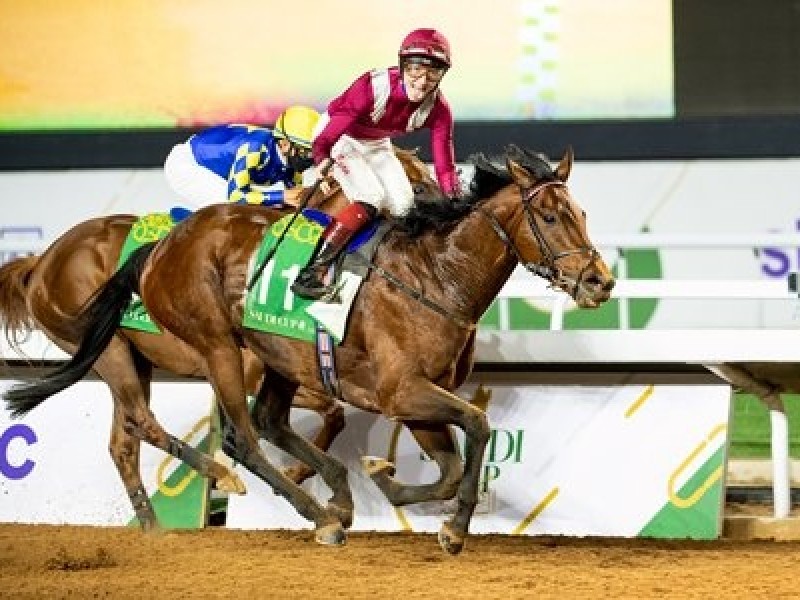 Stallion Deal on Hold for Saudi Cup Winner Mishriff Image 2