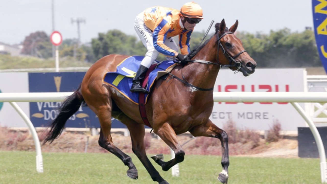 Sheikh Hissa’s Second-Day Triumph At The Keeneland ... Image 1