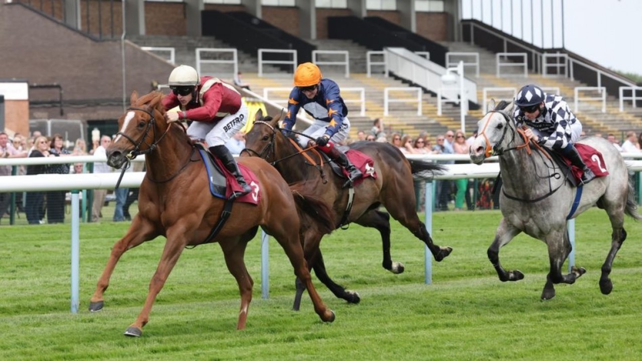 The Thrilling Near-Miss: Get Ahead’s Close Call At Curragh Image 1